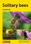 Solitary bees cover