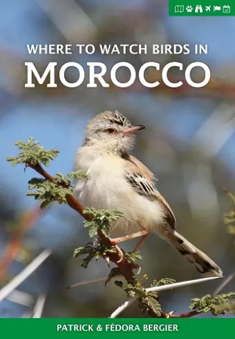 Where to Watch Birds in Morocco cover