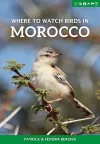 Where to Watch Birds in Morocco cover
