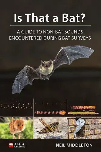 Is That a Bat? cover