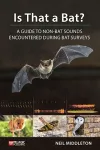 Is That a Bat? cover