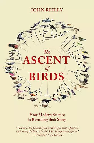 The Ascent of Birds cover