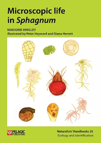 Microscopic life in Sphagnum cover