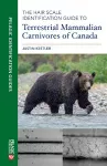The Hair Scale Identification Guide to Terrestrial Mammalian Carnivores of Canada cover