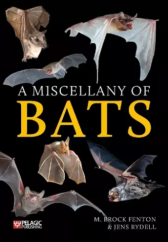 A Miscellany of Bats cover