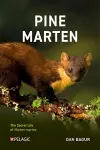 Pine Marten cover