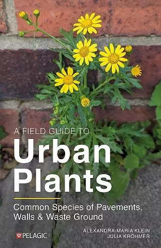 A Field Guide to Urban Plants cover