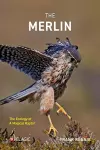 The Merlin cover