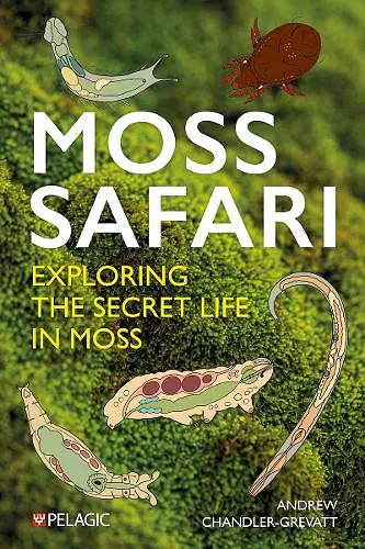 Moss Safari cover