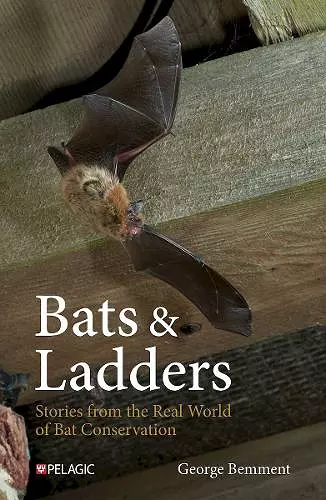 Bats & Ladders cover