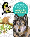 Animal Kingdom Colour by Numbers cover