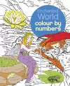 Enchanted World Colour by Numbers cover