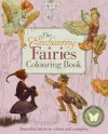 Enchanting Fairies Colouring Book, the cover