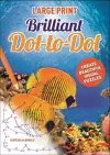 Large Print Dot to Dot Brilliant cover