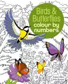 Birds & Butterflies Colour by Numbers cover