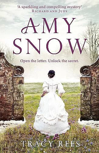 Amy Snow cover