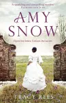 Amy Snow cover