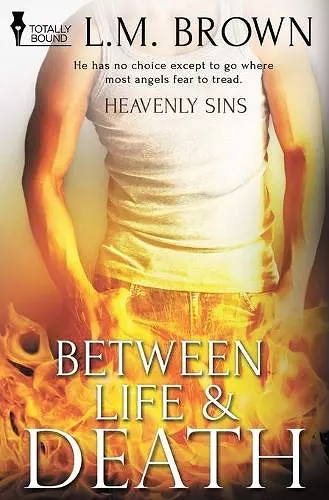 Heavenly Sins cover