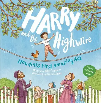 Harry and the Highwire cover