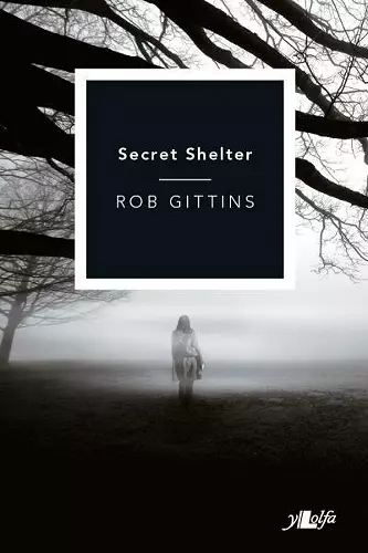 Secret Shelter cover