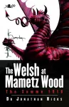 Welsh at Mametz Wood, The Somme 1916, The cover