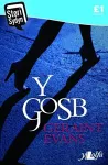 Stori Sydyn: Y Gosb cover
