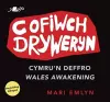 Cofiwch Dryweryn - Cymru'n Deffro / Wales Awakening cover