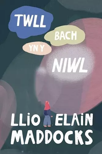 Twll Bach yn y Niwl cover