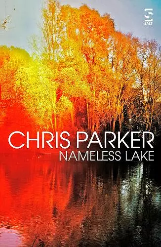 Nameless Lake cover