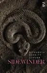 Sidewinder cover