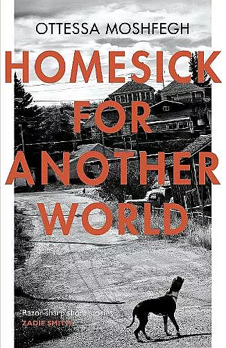 Homesick For Another World cover