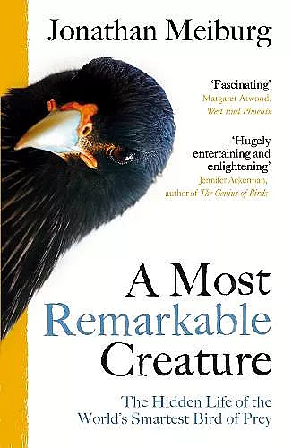 A Most Remarkable Creature cover