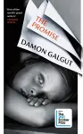 The Promise cover