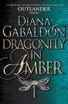 Dragonfly In Amber cover