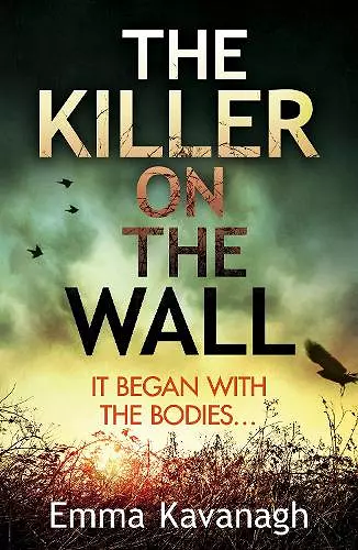The Killer on the Wall cover
