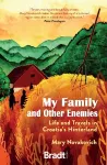 My Family and Other Enemies cover