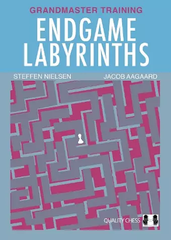 Endgame Labyrinths cover