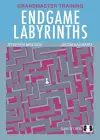 Endgame Labyrinths cover