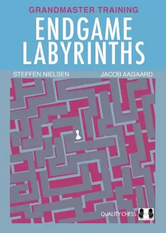 Endgame Labyrinths cover