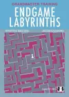 Endgame Labyrinths cover