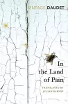 In the Land of Pain cover