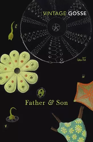 Father and Son cover