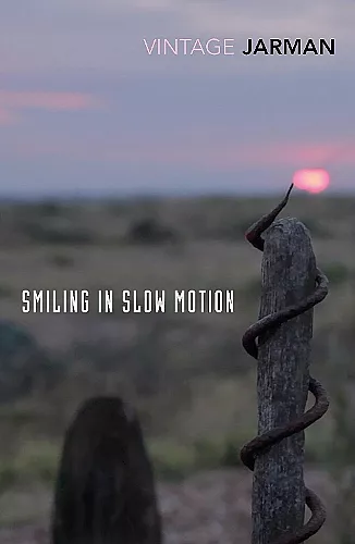 Smiling in Slow Motion cover