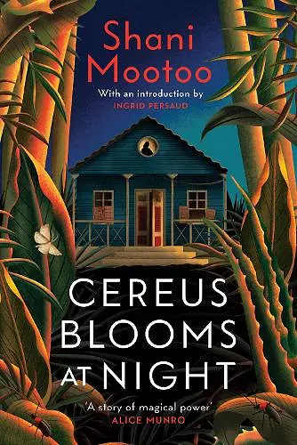 Cereus Blooms at Night cover