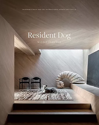 Resident Dog (Volume 2) cover