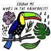 Colour Me: Who’s in the Rainforest? cover