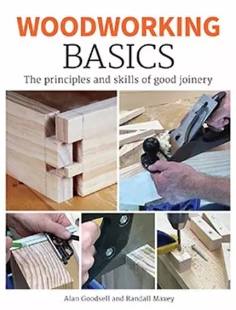 Woodworking Basics cover