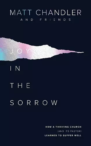 Joy in the Sorrow cover