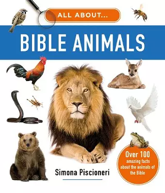 All About Bible Animals cover