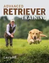 Advanced Retriever Training cover